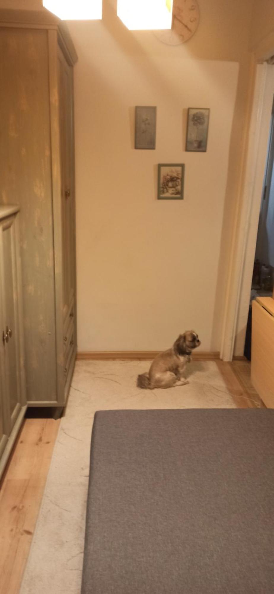 Cichy Zakatek Kolobrzeg Apartamento Exterior foto